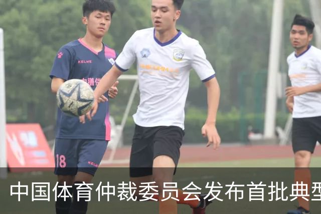中国体育仲裁委员会发布首批典型案例