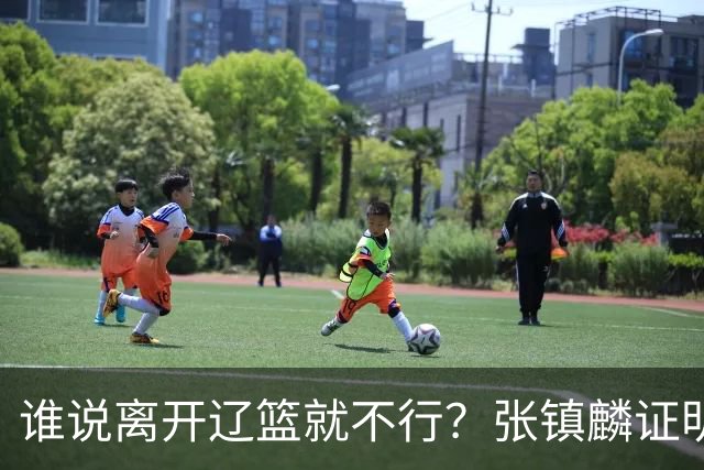 谁说离开辽篮就不行？张镇麟证明价值，赵继伟或效仿联手周琦冲冠