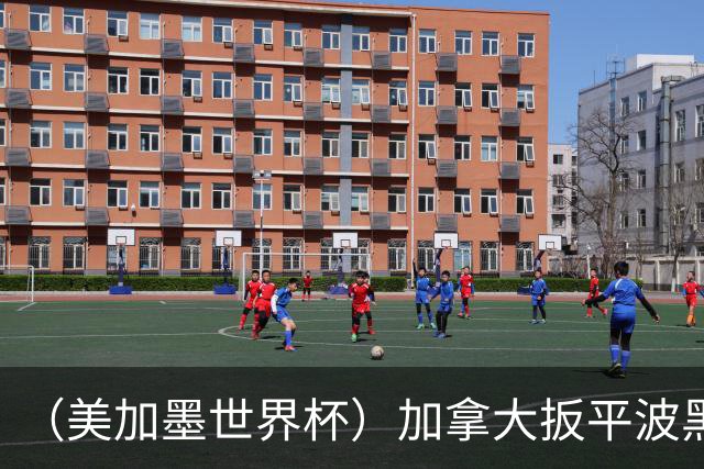 （美加墨世界杯）加拿大扳平波黑 获队史世界杯首分
