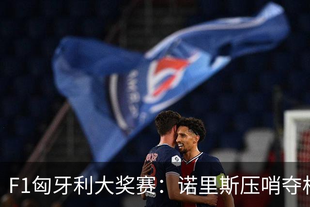 F1匈牙利大奖赛：诺里斯压哨夺杆